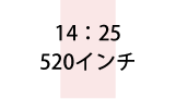 14:25 520インチ