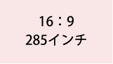 16:9 285インチ
