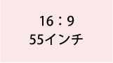 16:9 55インチ